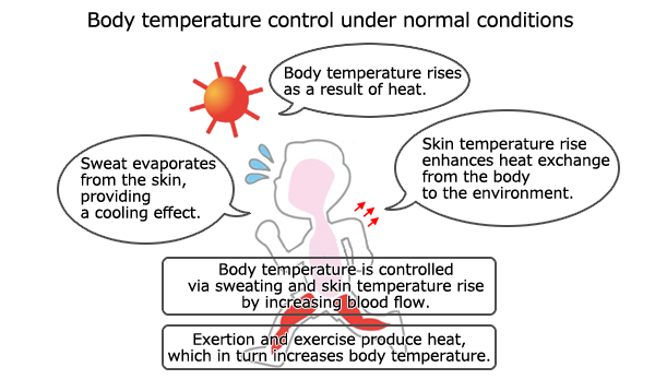 Body Temperature Control