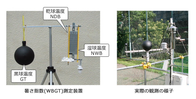 暑さ指数（WBGT）の測定装置／実際の観測の様子