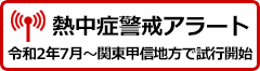 alert icon