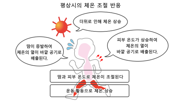 평상시의 체온 조절 반응