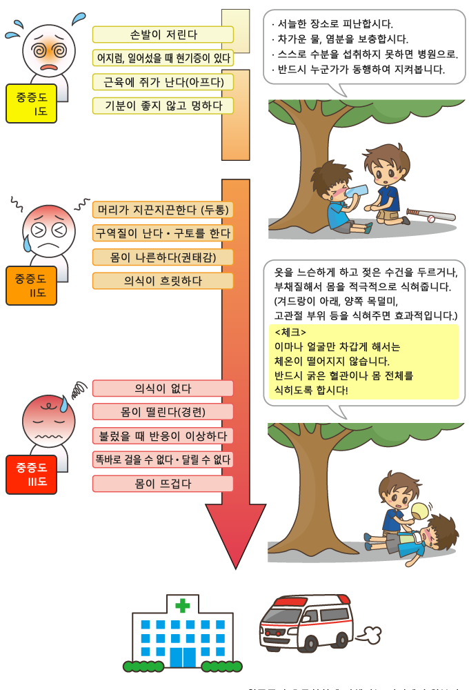 열중증 증상: